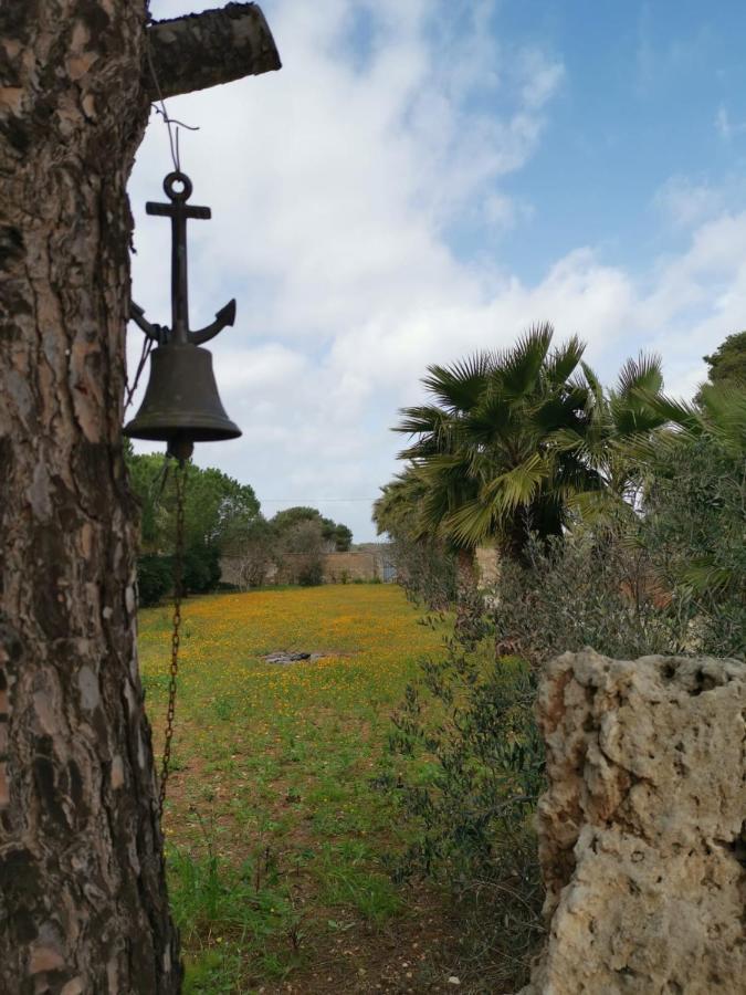 La Casa Nella Pineta -
