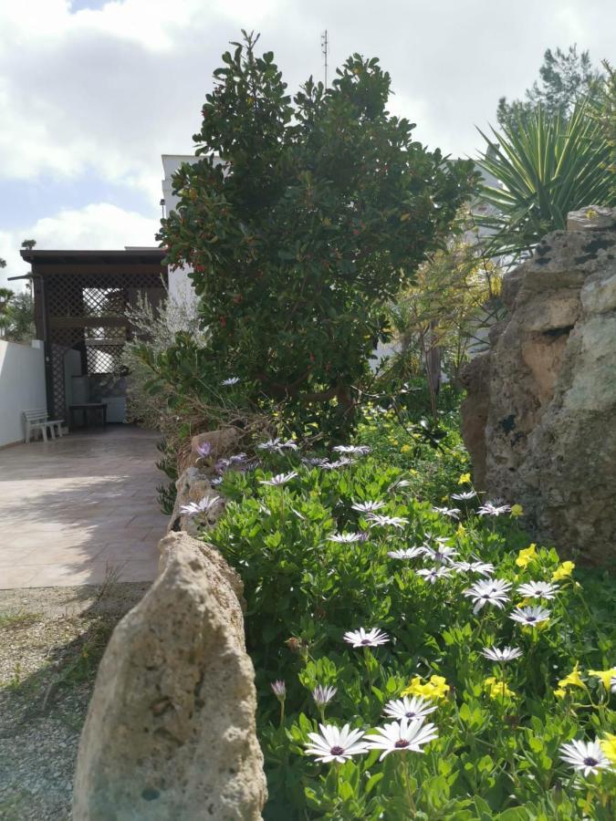 La Casa Nella Pineta - Apartment Gallipoli