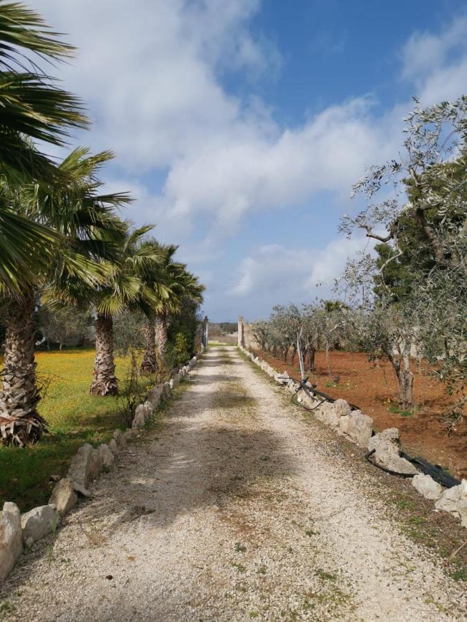 Apartment La Casa Nella Pineta -